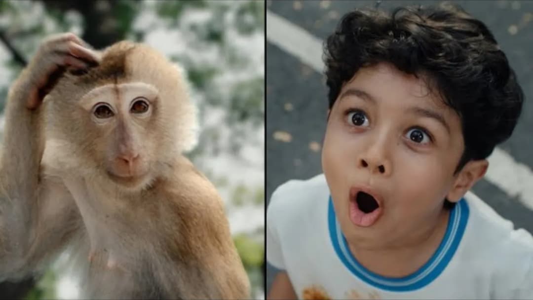 Production house clarifies if Surf ad’s monkey is AI-made